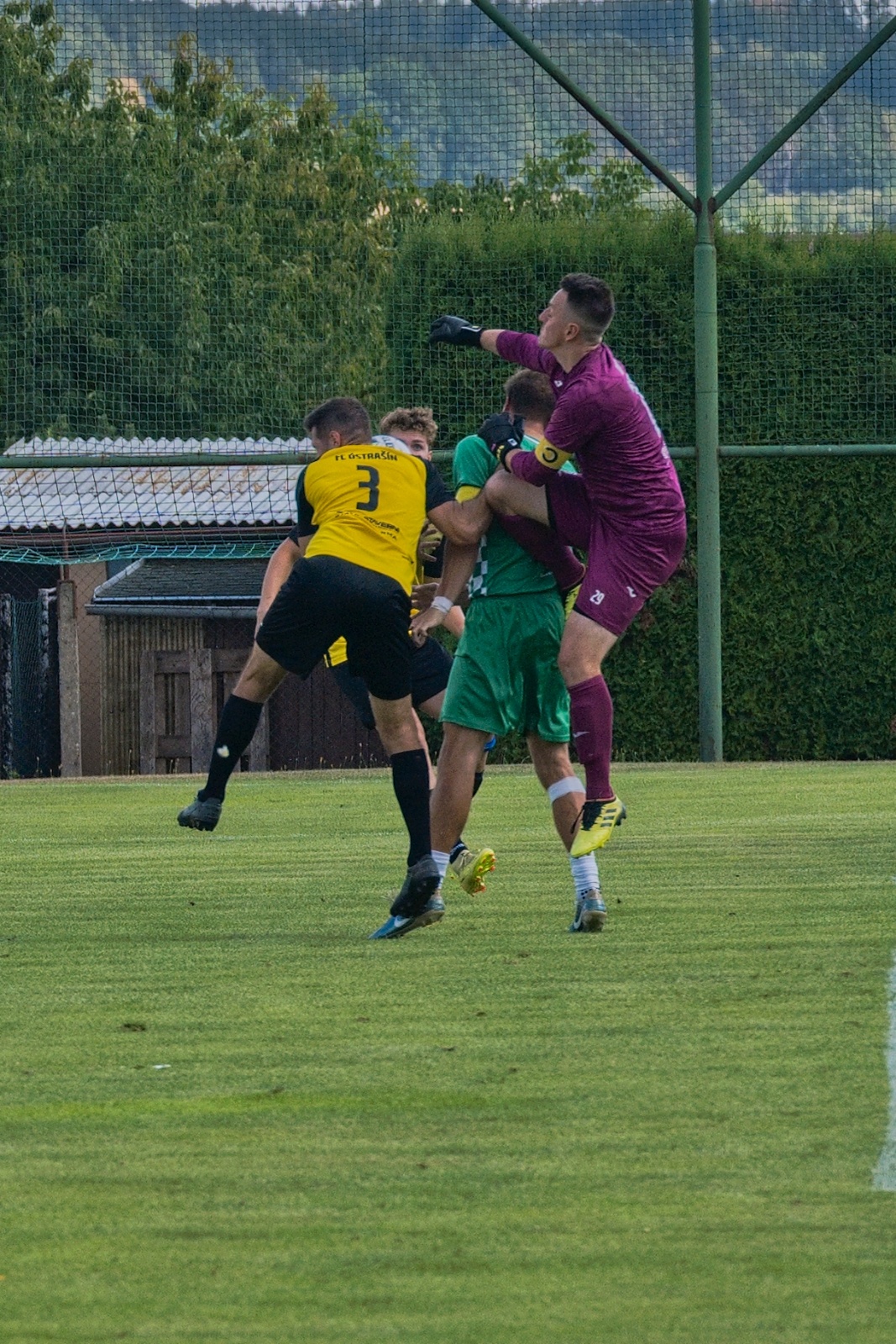 DSC 5017