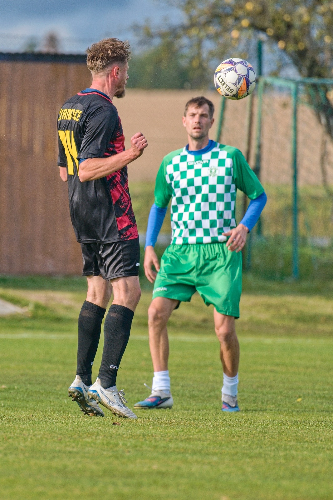 DSC 7975
