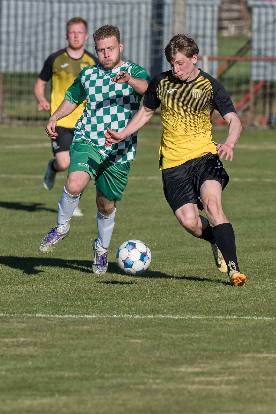 DSC 6699